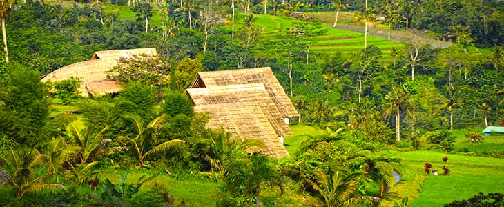 Jatiluwih paddy field